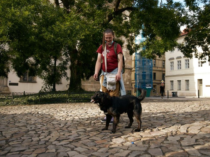 PRAGULIC ZUZKA 113